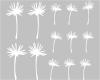 Pusteblume Schirmchen Wandtattoo 22cm wei�