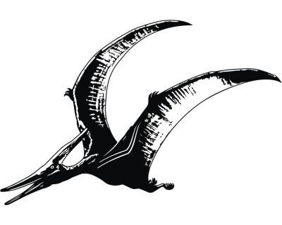 Wandtattoo Pteranodon