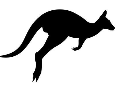 Kangaroo Knguru Wandtattoo