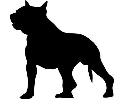 American Pit Bull Terrier Wandtattoo