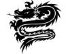 Wandtattoo Drache Motiv 104 Wandtattoo