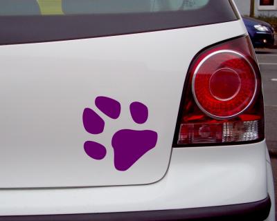 Pfote Hunde Katzen - Ansicht 3