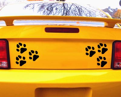 Pfoten Hunde Katzen 6er Set - Ansicht 3