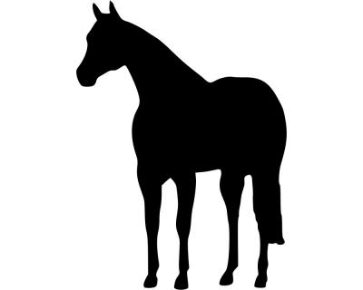 Pferd Aufkleber 'Zora' - Ansicht 1