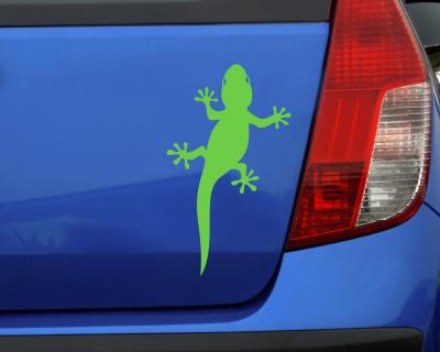Gecko