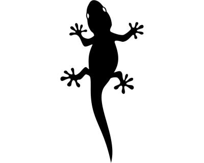 Gecko - Ansicht 1