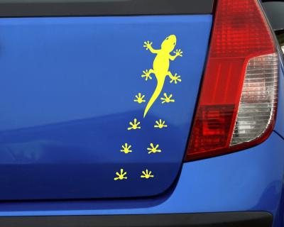 Gecko mit Fuabdrcken