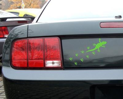 Gecko mit Fuabdrcken - Ansicht 3