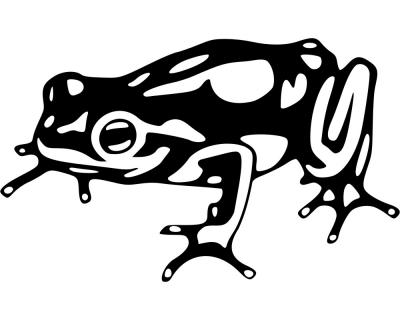 Pfeilgiftfrosch Aufkleber 'Charly' - Ansicht 1