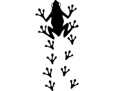 Laubfrosch Aufkleber + Fuabdrcke - Ansicht 1