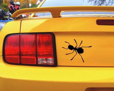 Autoaufkleber Sticker Kinder Aufkleber Tierchen Baby Ameise 