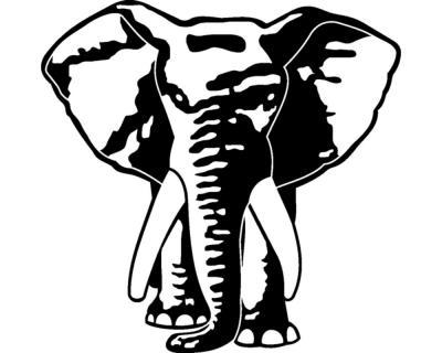 Wandtattoo Elefant