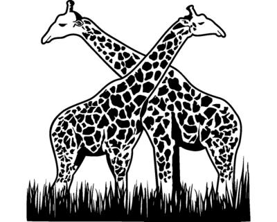 Wandtattoo Giraffen