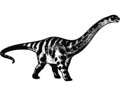Wandtattoo Apatosaurus - Ansicht 1