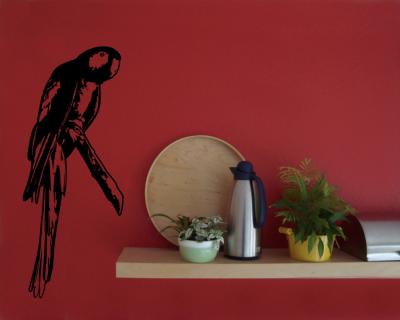 Wandtattoo Papagei - Ansicht 2