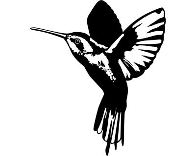 Wandtattoo Kolibri fliegend - Ansicht 1