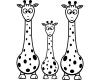 Wandtattoo Giraffen Set Wandtattoo