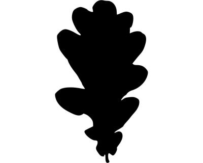 Aufkleber Eichenblatt - Ansicht 1