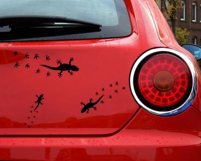 Gecko Aufkleber Creativ-Set