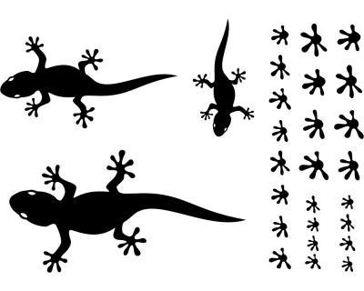 Gecko Aufkleber Creativ-Set - Ansicht 1