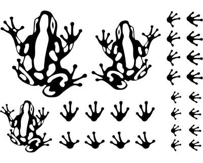Frosch Aufkleber Creativ-Set - Ansicht 1