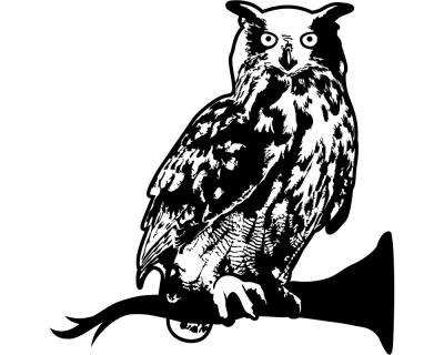 Wandtattoo Eule - Ansicht 1