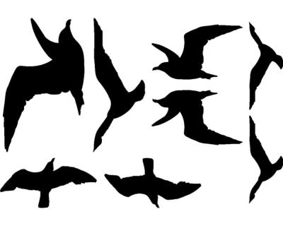 Wandtattoo Vogelschutzaufkleber Mwen-Set - Ansicht 1