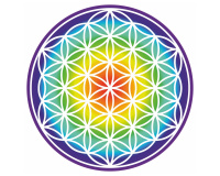 Aufkleber Blume des Lebens Regenbogen Verlauf Aufkleber Modellnummer  Regenbogen