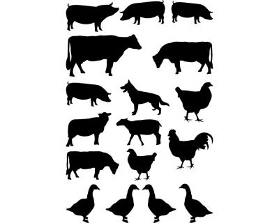 Aufkleber Bauernhoftiere Creativ-Set - Ansicht 1