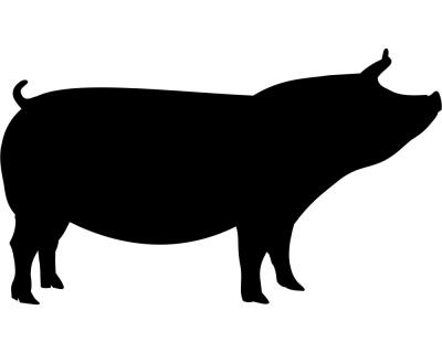 Schwein Aufkleber