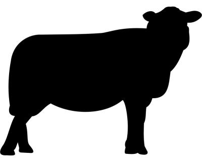 Schaf Aufkleber - Ansicht 1