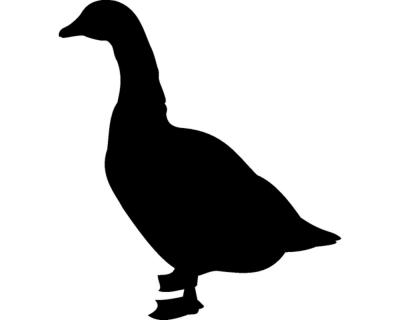 Gans Wandtattoo - Ansicht 1