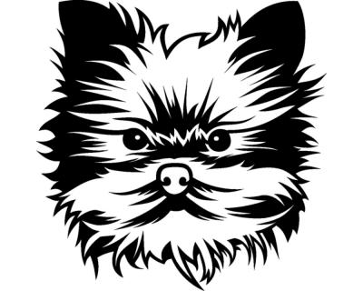 Yorkshire Terrier Wandtattoo - Ansicht 1