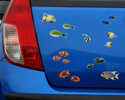 22-teiliges Fischsticker Set Aufkleber