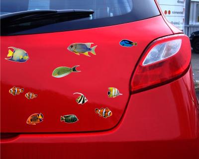 22-teiliges Fischsticker Set - Ansicht 3