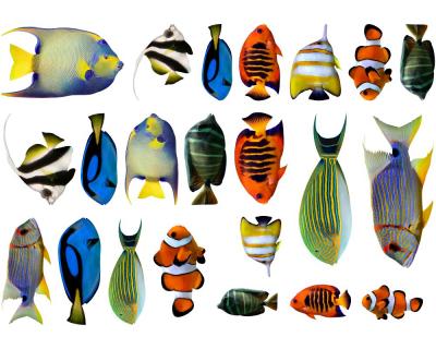 22-teiliges Fischsticker Set