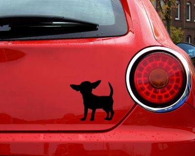 Chihuahua Autoaufkleber