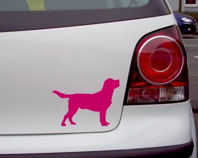 Labrador Retriever Autoaufkleber