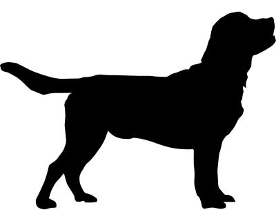 Labrador Retriever Autoaufkleber - Ansicht 1