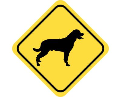 Warnschild Rottweiler Aufkleber - Ansicht 2