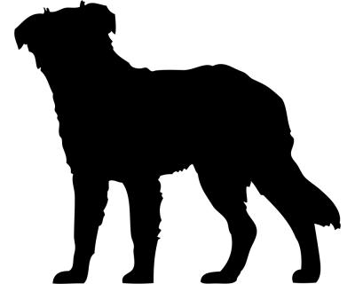 Australian Shepherd Autoaufkleber - Ansicht 1