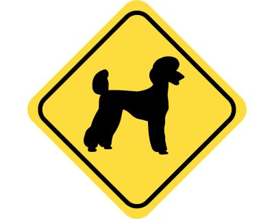 Auto Sticker Autoaufkleber Lustig Dog Pudel-Aufkleber Pudel-Auto-Aufkleber  Rotschopf-Pudel-Aufkleber Pudel-Auto-Aufkleber Niedlicher Pudel