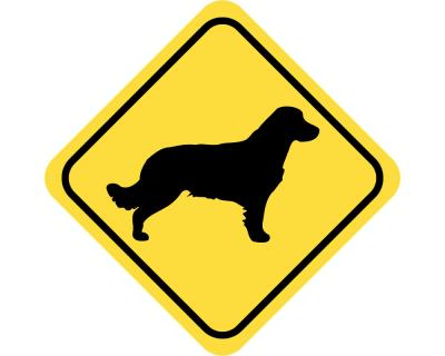 Warnschild Golden Retriever Aufkleber Aufkleber