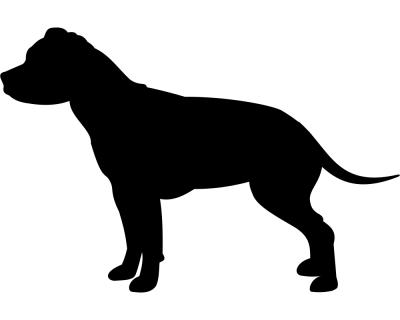 Staffordshire Terrier Autoaufkleber