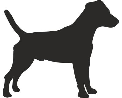 Jack Russell Terrier Autoaufkleber