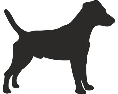 Jack Russell Terrier Autoaufkleber - Ansicht 1