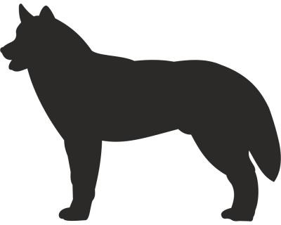 Husky Autoaufkleber - Ansicht 1