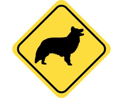 Warnschild Border Collie Aufkleber