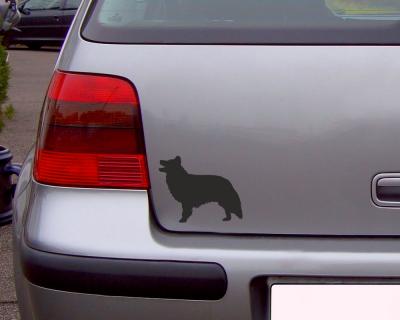Border Collie Autoaufkleber