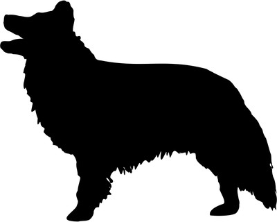 Border Collie Wandtattoo